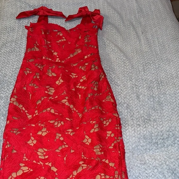 Elegant Red Lace Dress - Picture 1 of 5